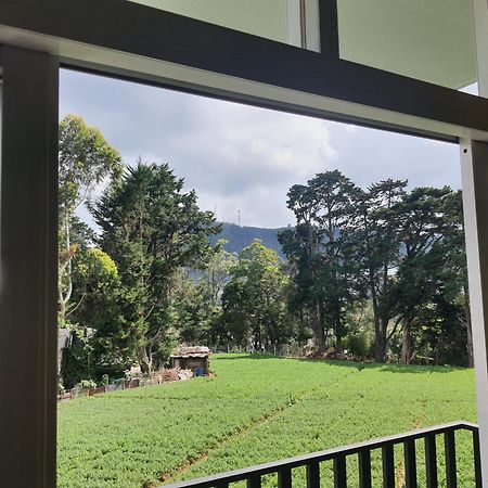נוארה אליה Green Mount View Two Bed Room Apartment מראה חיצוני תמונה